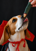 Charger l'image dans la visionneuse de la galerie, Spooky Box d'Halloween, biscuits pour chiens - Cooka's Cookies