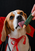Charger l'image dans la visionneuse de la galerie, Spooky Box d'Halloween, biscuits pour chiens - Cooka's Cookies
