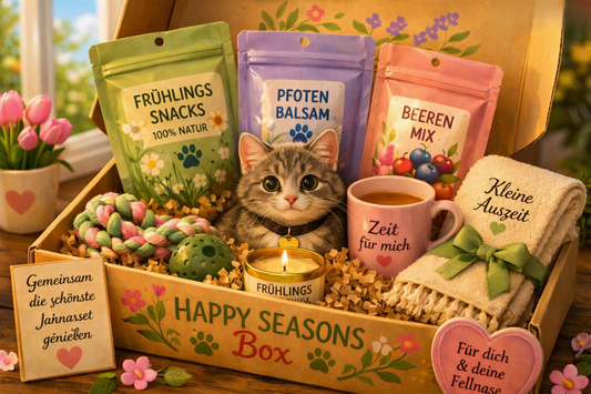 ☀️ Happy Seasons Katze & Mensch (Abo: Quartalsweise, halbjährlich oder jährlich)